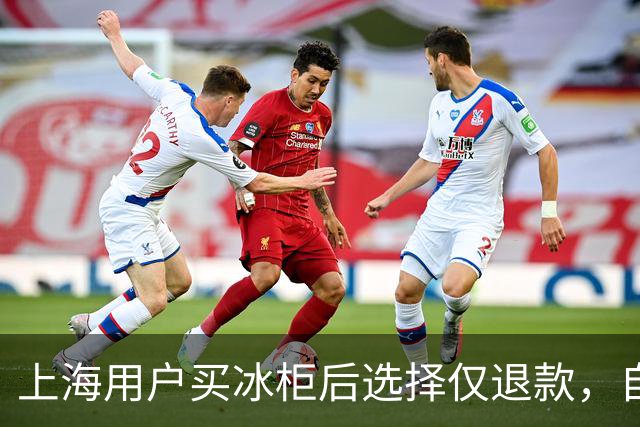 上海用户买冰柜后选择仅退款，自称冰柜"已销毁"无法退货，商家跨省索要后发现冰柜正插电使用，结局亮了