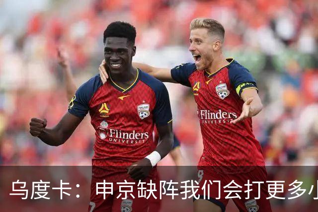 乌度卡：申京缺阵我们会打更多小阵容 希布韦会得到出场机会
