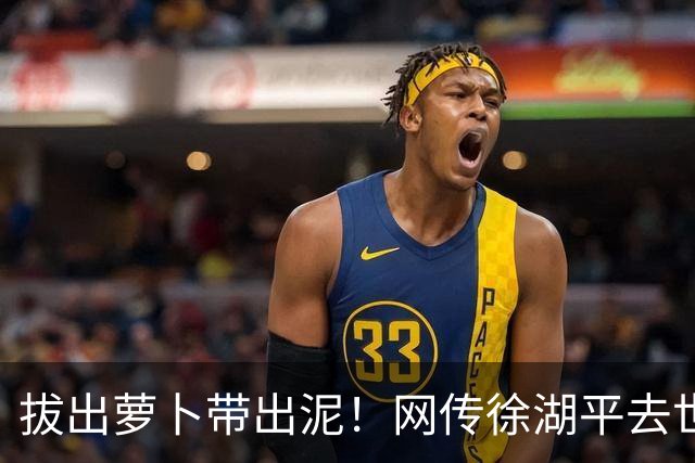 拔出萝卜带出泥！网传徐湖平去世，竟再次将南京博物院给拉下水