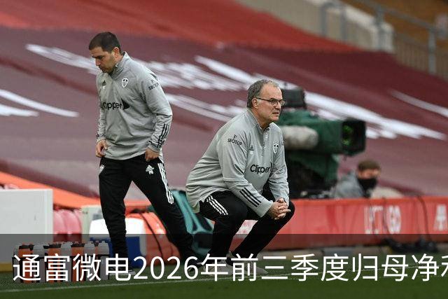 通富微电2026年前三季度归母净利润30.61亿元，同比增长255.68%