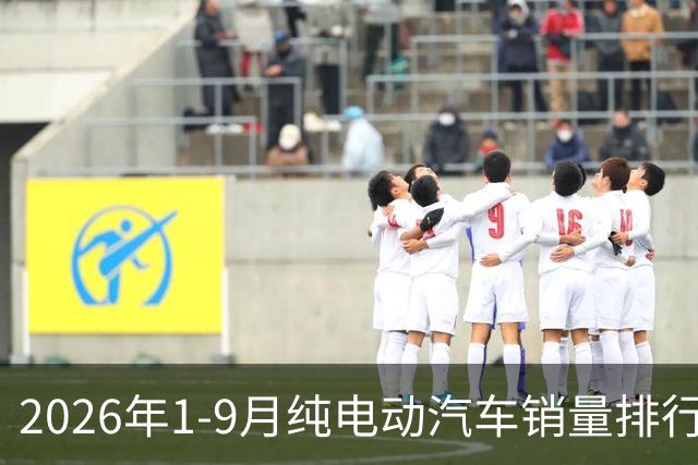 2026年1-9月纯电动汽车销量排行榜